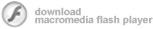 Download Flash Player