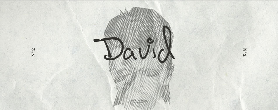 david